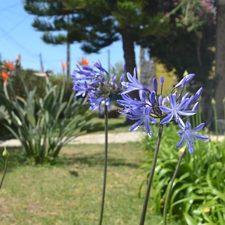 Meraki Guesthouse Ericeira Dış mekan fotoğraf
