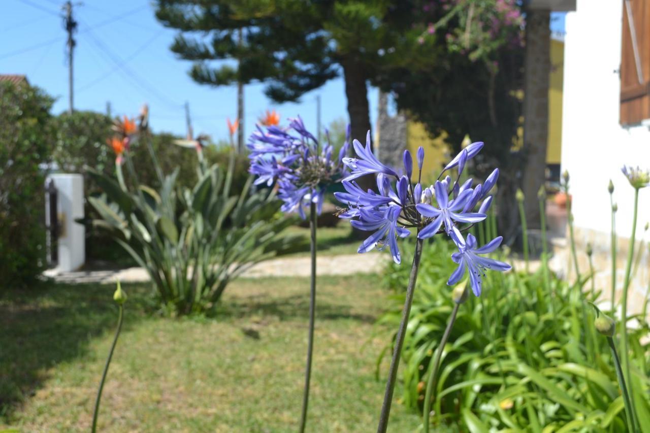 Meraki Guesthouse Ericeira Dış mekan fotoğraf